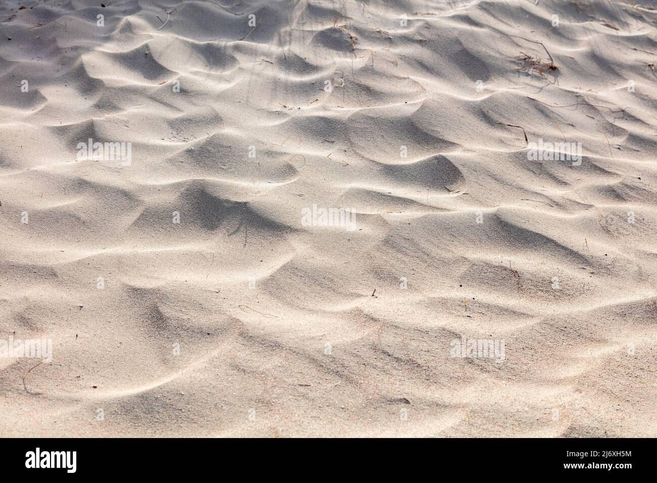 Sabbia texture sfondo. Spiaggia di sabbia ondulato. Vista ravvicinata in materiale naturale. Concetto di vacanza estiva. Foto Stock