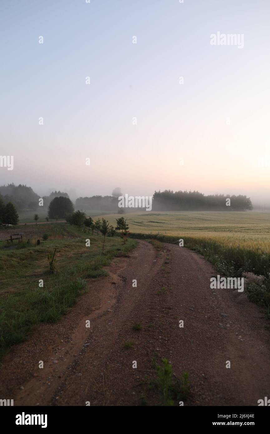 campo pittoresco e strada panoramica nella campagna all'alba Foto Stock
