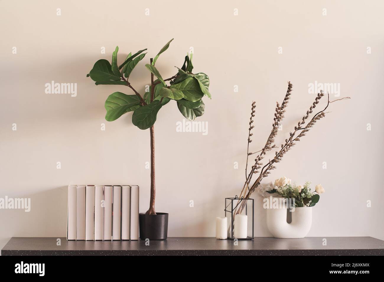 Una composizione di tre piante in vasi e pentole. Fiori in interior design. Casa accogliente. Foto di alta qualità Foto Stock