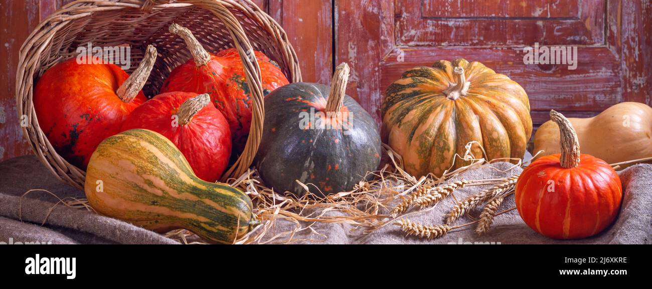 Autunno ancora vita con frutti di zucca di diversi colori e dimensioni in una vecchia casa rurale, banner. Concetto di giorno del Ringraziamento con focus selettivo Foto Stock
