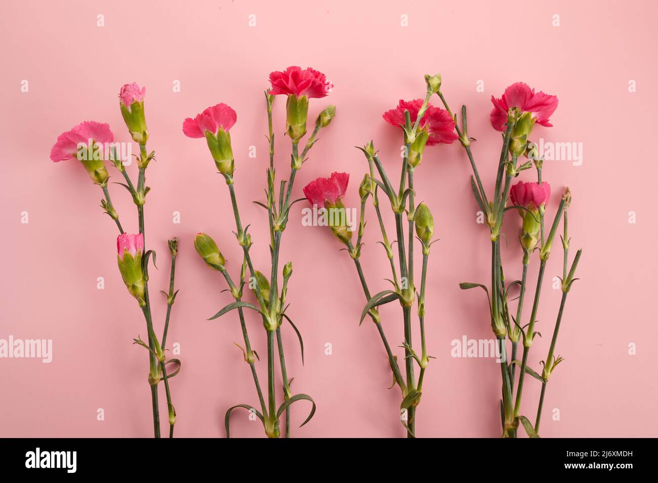 Biglietto Di Compleanno Per Amica Speciale – Garofani Rosa E Farfalle, Stile Acquerello, Con Busta, 228x152 Mm - 2