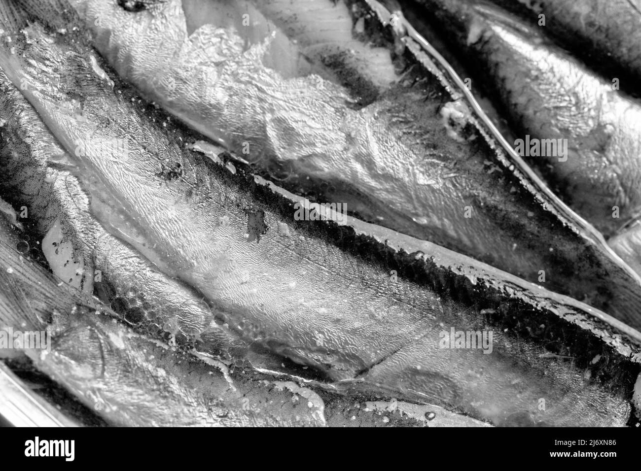 Un disegno astratto di linee è creato in questo macrosshot di sardine in scatola, un pesce che è una grande fonte di omega-3s, che riduce le malattie cardiache Foto Stock