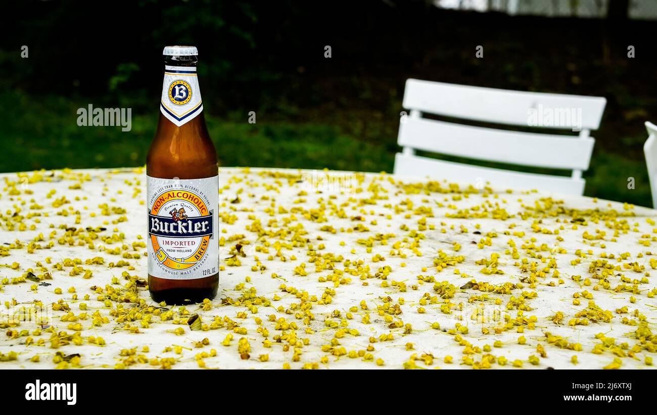 NORWALK, CT, USA - 4 MAGGIO 2022: Bottiglia di birra non alcolica Buckler importata dall'Olanda su un tavolo da giardino all'esterno coperto da inquinamento degli alberi allo sprin Foto Stock