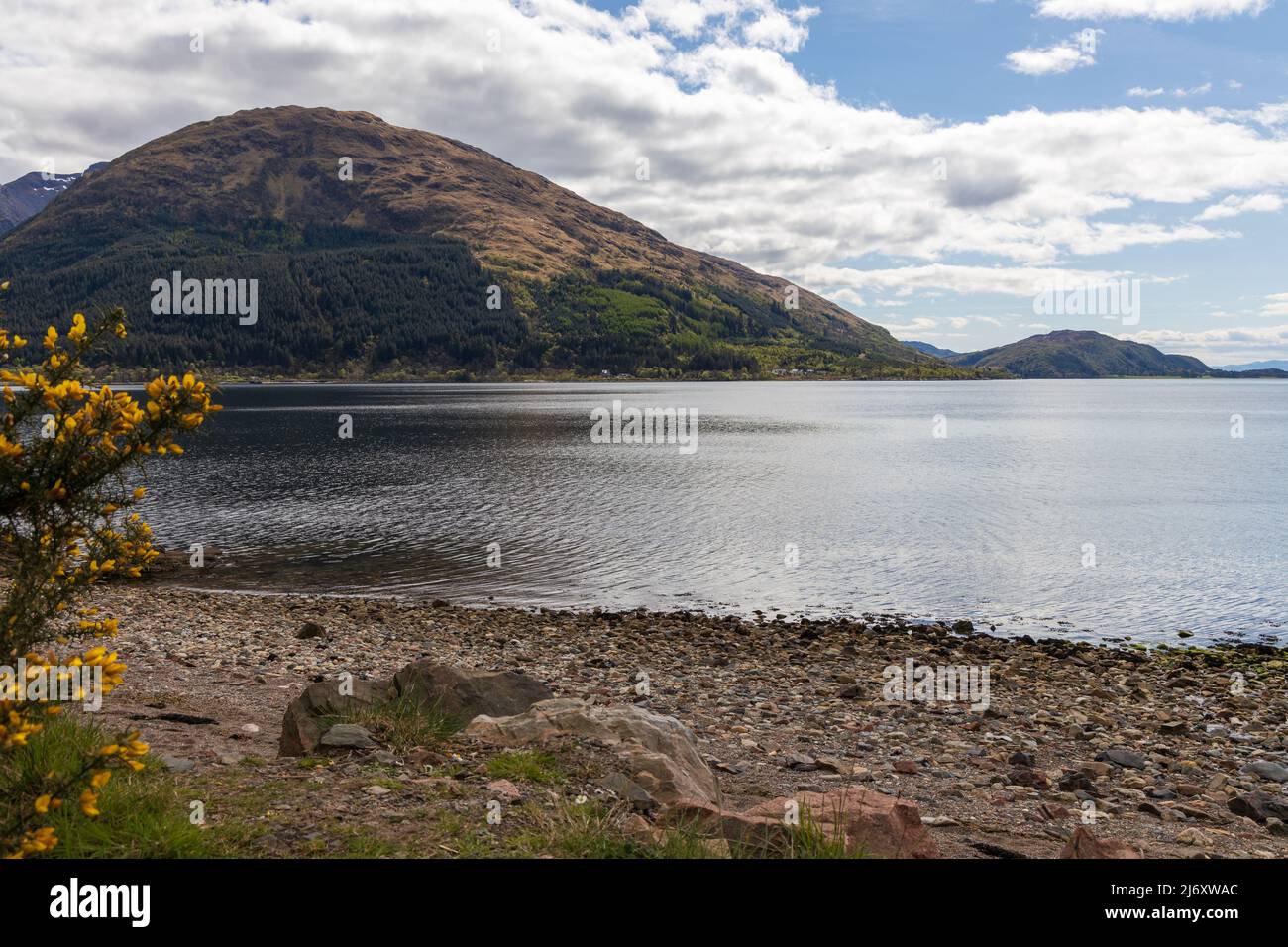 Punto di vista su Loch nan Uamh, A830, Highlands scozzesi, Scozia, costa occidentale, Argyle, Regno Unito Foto Stock