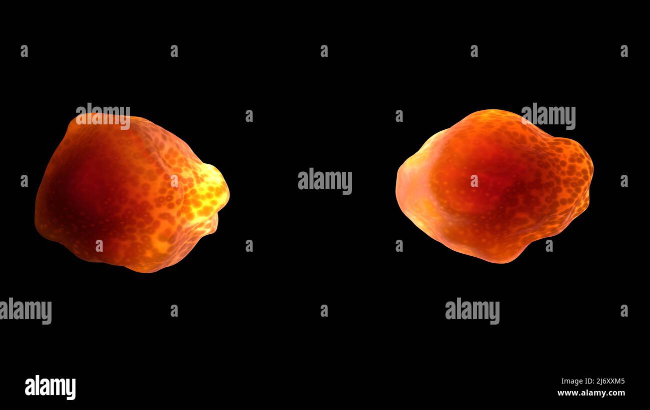 Organoids 3D illustrazione rendere incandescente Organoids . Retroilluminazione, retroilluminazione. Effetto pelle traslucido. Foto Stock