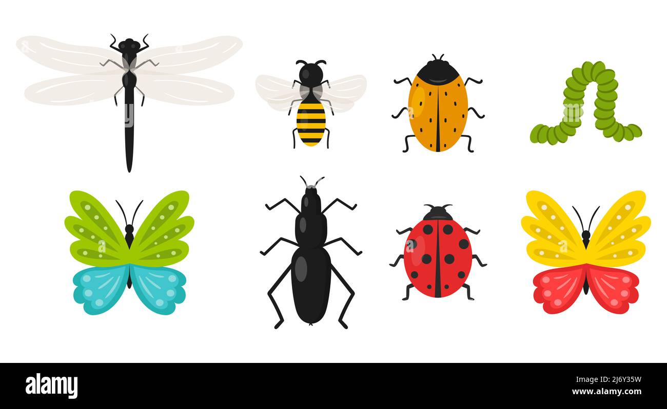 Raccolta di insetti. Farfalla, scarabeo, ape, bruco, ladybug, dragonfly. Estate, primavera animali carini in stile cartoon flat. Isolato su un bianco Illustrazione Vettoriale