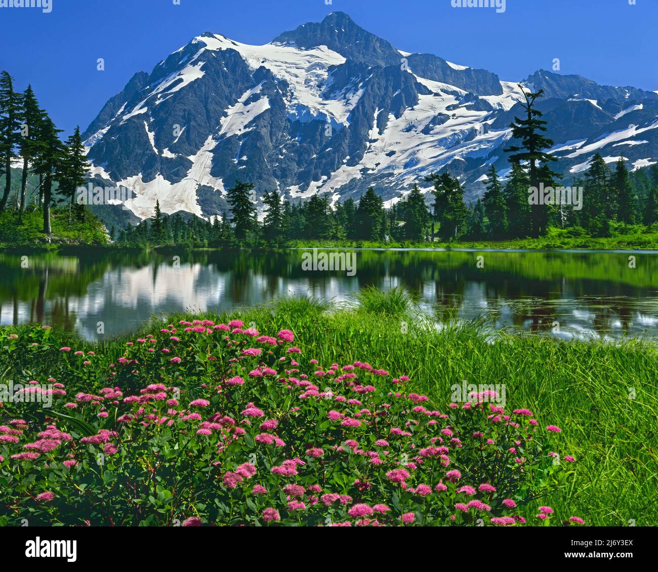 Mt. Shuksan nel North Cascade National Park, Washington Foto Stock