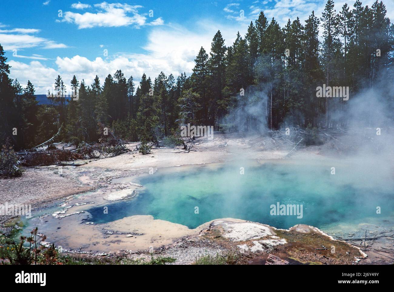 Il vapore sorge da una piscina termale super riscaldata nel parco nazionale di Yellowstone del Wyoming. Foto Stock
