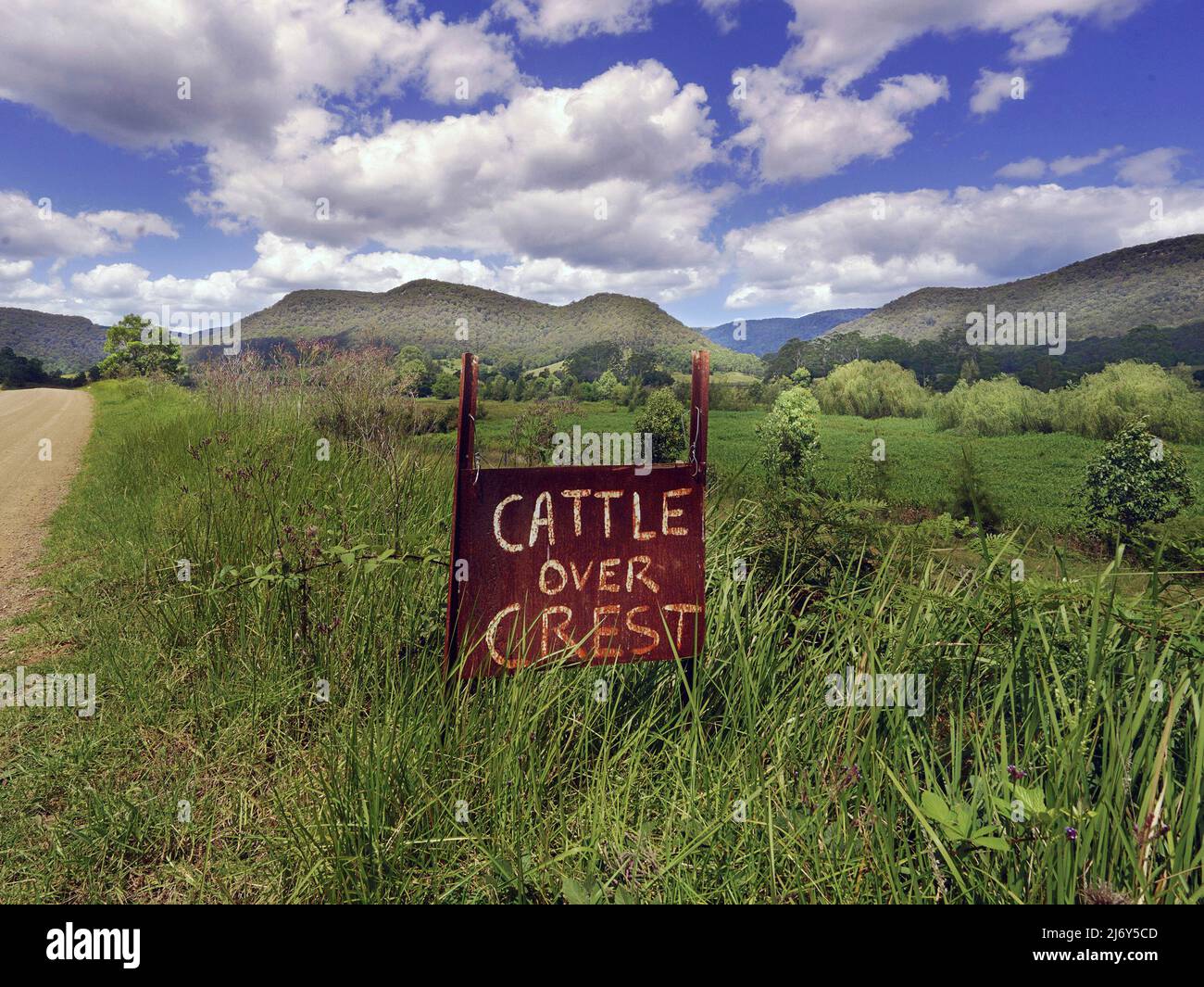Strada di campagna con cartello 'bestiame sopra cresta', che avverte i conducenti della presenza di bestiame sulla strada come sono spostati tra i paddock. Australia Foto Stock
