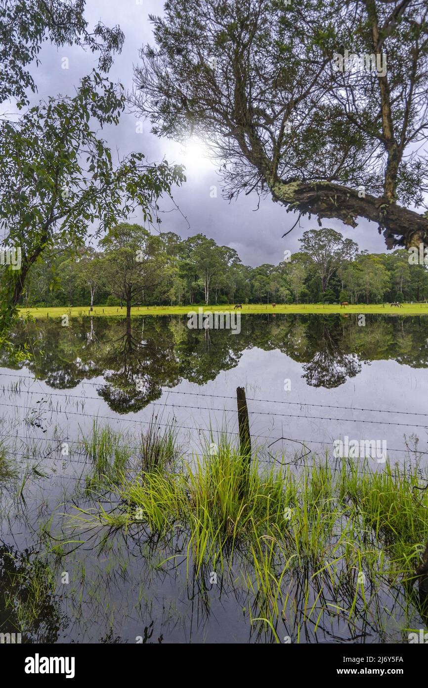 Alluvione acque che si incatenano sui terreni agricoli durante le precipitazioni insolitamente alte di febbraio e marzo 2022. Vicino Mandalong, nuovo Galles del Sud, Australia Foto Stock