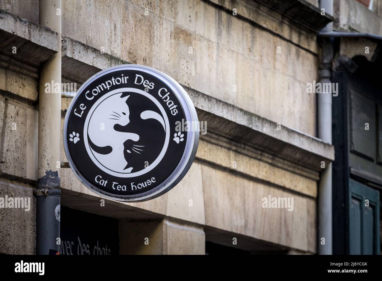 Foto di un caffè gatto francese nelle strade di Bordeaux, Francia. Una caffetteria per gatti è una caffetteria a tema la cui attrazione sono i gatti che possono essere osservati e giocati con spirito Foto Stock