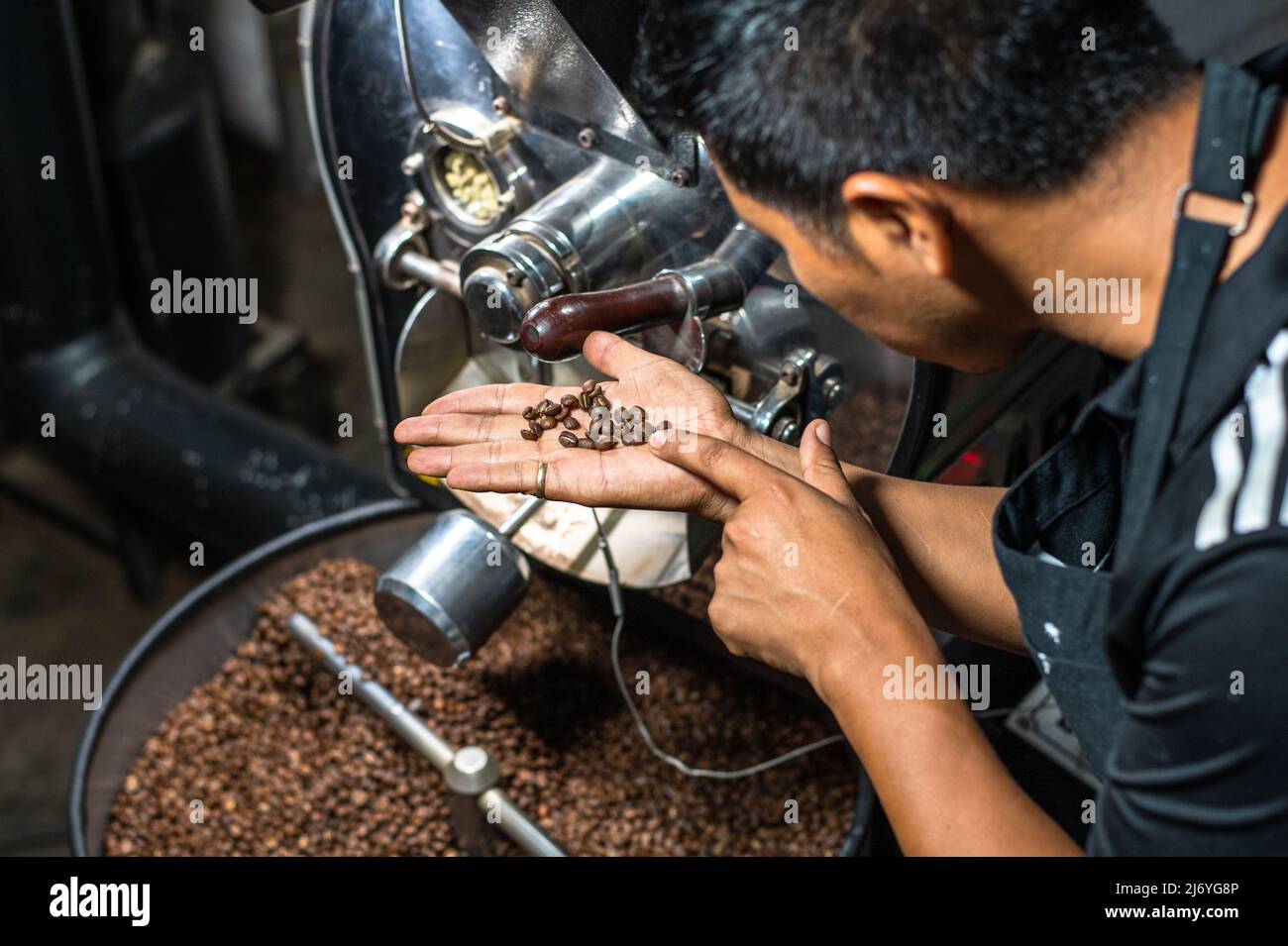 Macchina per tostare il caffè. Barista che osserva la tostatura del caffè Foto Stock