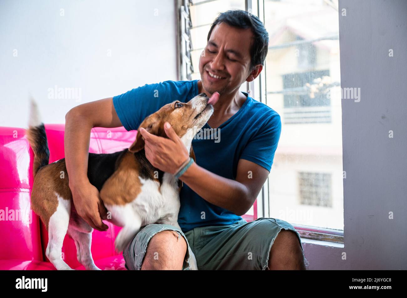 Un uomo che accarezzava il suo cane beagle, PET friendly amore concetto Foto Stock