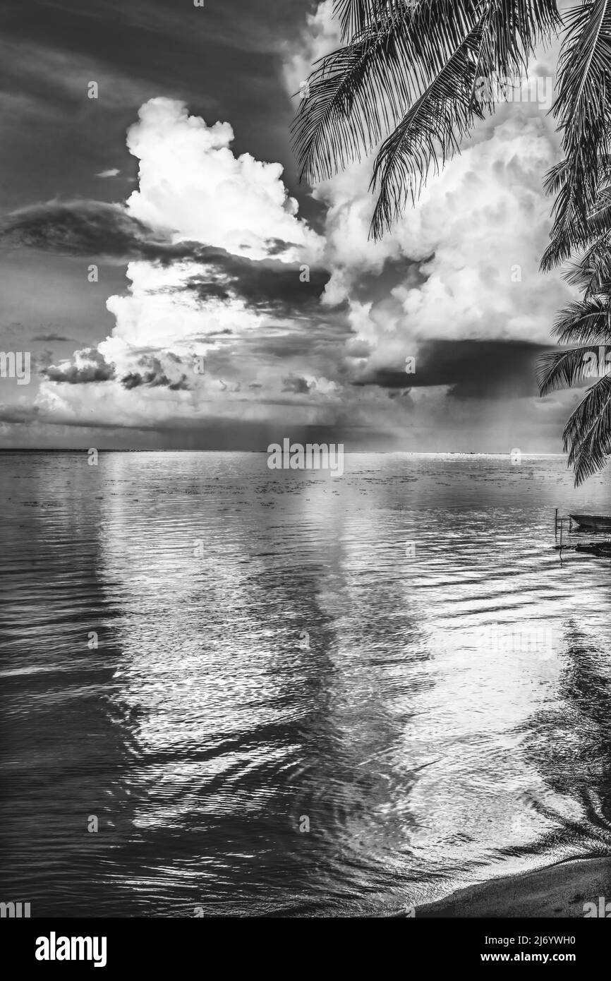 Black White Rain Storm Coming Cloudscape Beach Sunset Palm Trees Reflection Water Moorea Tahiti Polinesia francese. Diverse sfumature in acqua in laguna Foto Stock