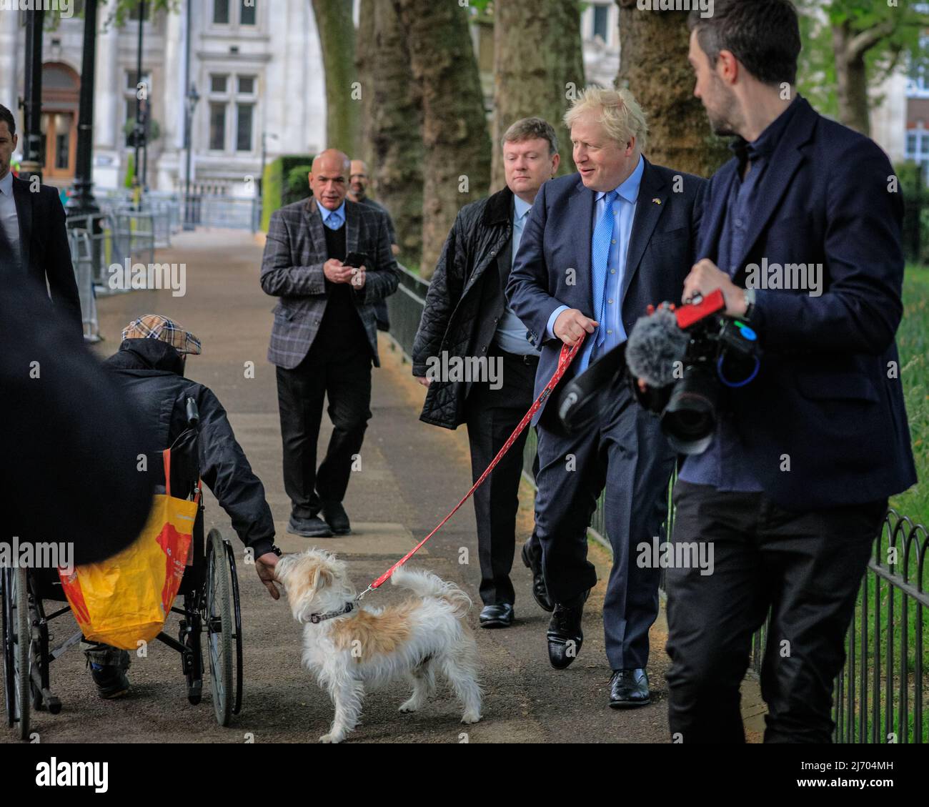 Londra, Regno Unito, 5th maggio 2022. Il pomeriggio si ferma per consentire a un uomo in sedia a rotelle di salutare Dilyn. Boris Johnson, British prime Minster, lancia il suo voto nelle elezioni locali al Methodist Central Hall di Westminster questa mattina, camminando con il suo cane, Dilyn. Credit: Imagplotter/Alamy Live News Foto Stock