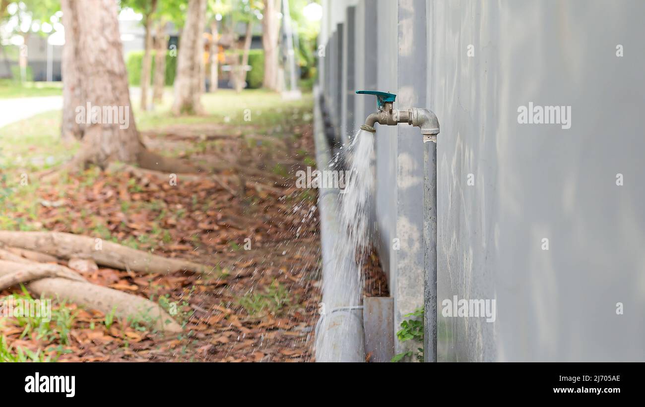 Rubinetto acqua da giardino per l'uso in annaffiature nel giardino. Foto Stock