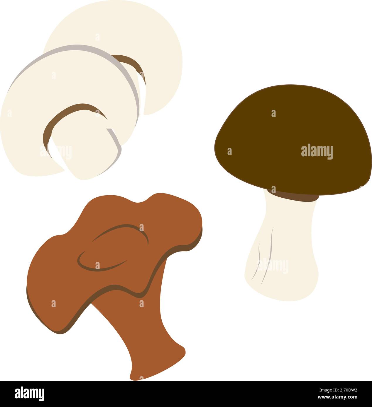 Set di tre funghi disegnati a mano in stile cartone animato. Champignon, canterelle, funghi bianchi. Ideale per notebook, tovaglioli, asciugamani, poster, striscioni. Illustrazione Vettoriale