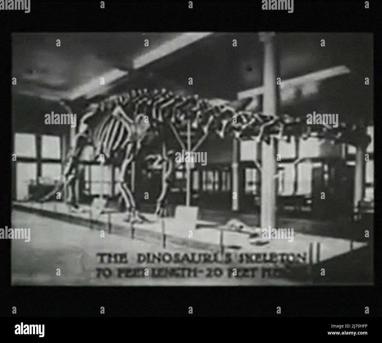 Gertie l'annata dei dinosauri Foto Stock