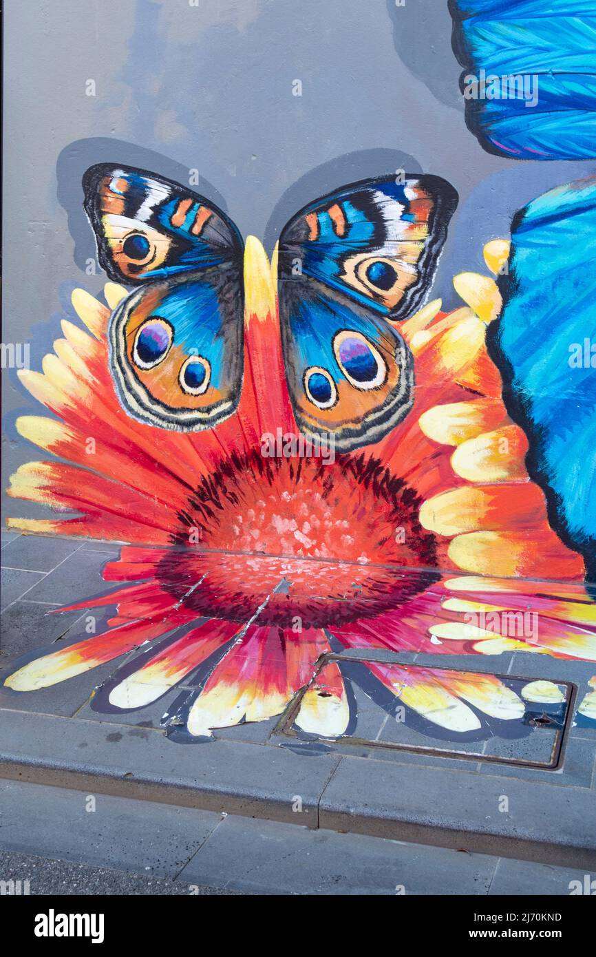 Butterfly Street Art, Shorts Place, Geelong, Victoria, Australia Foto Stock