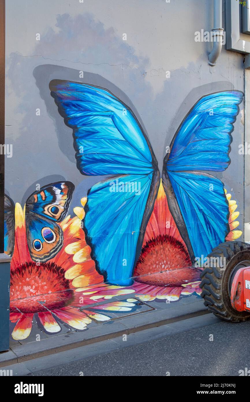 Butterfly Street Art, Shorts Place, Geelong, Victoria, Australia Foto Stock