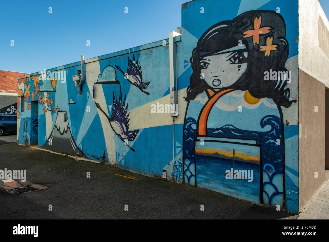 John St Street Art, Geelong, Victoria, Australia Foto Stock