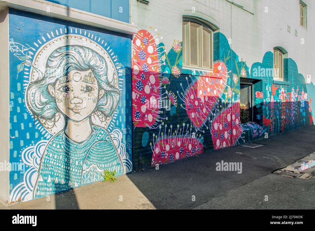 Mountain Girl Street Art, John St, Geelong, Victoria, Australia Foto Stock