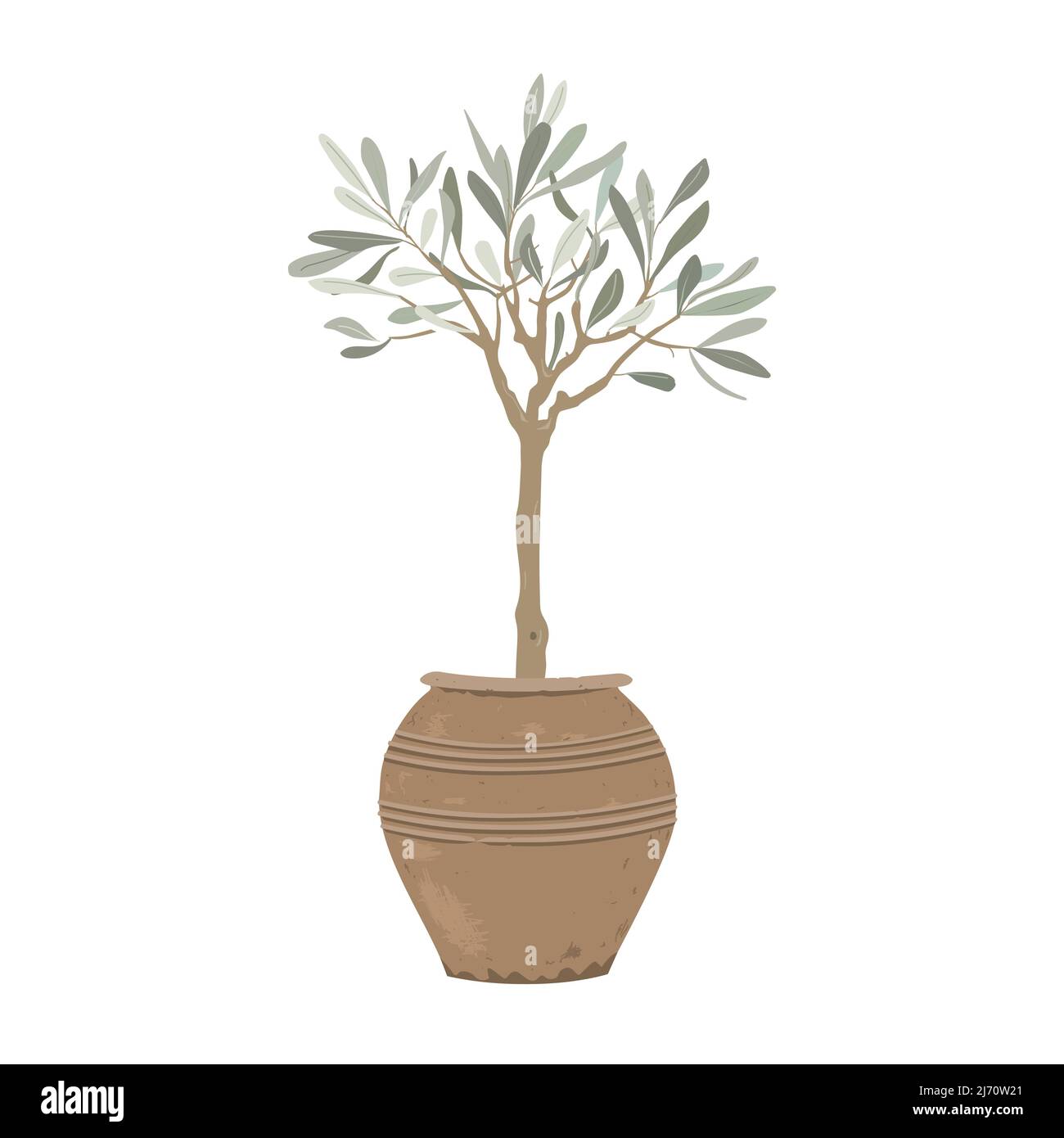 Olivo in un elegante vaso di argilla isolato su sfondo bianco. Elemento decoratore per piante domestiche. Illustrazione vettoriale Illustrazione Vettoriale