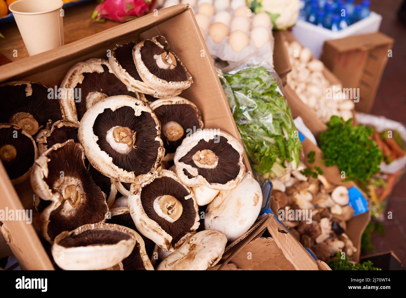 Funghi portobello freschi in mostra presso una bancarella di verdure Foto Stock