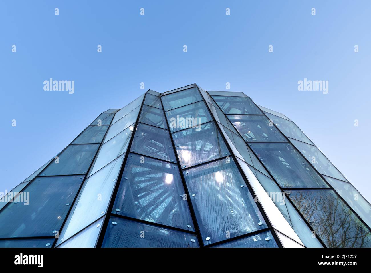 Gdansk,PL-15 Mar 22: Ampia vista ravvicinata dalla parte inferiore della palma di Olive Park in design moderno, cielo blu chiaro sullo sfondo. Protezione edilizia Foto Stock