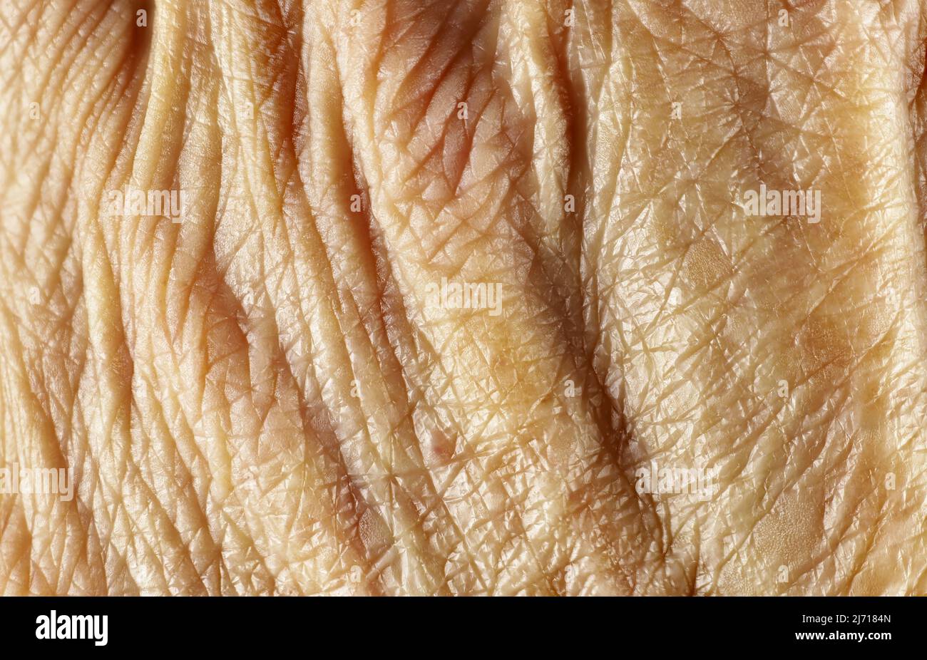 Vista super-macro della pelle invecchiata sul retro della mano umana Foto Stock