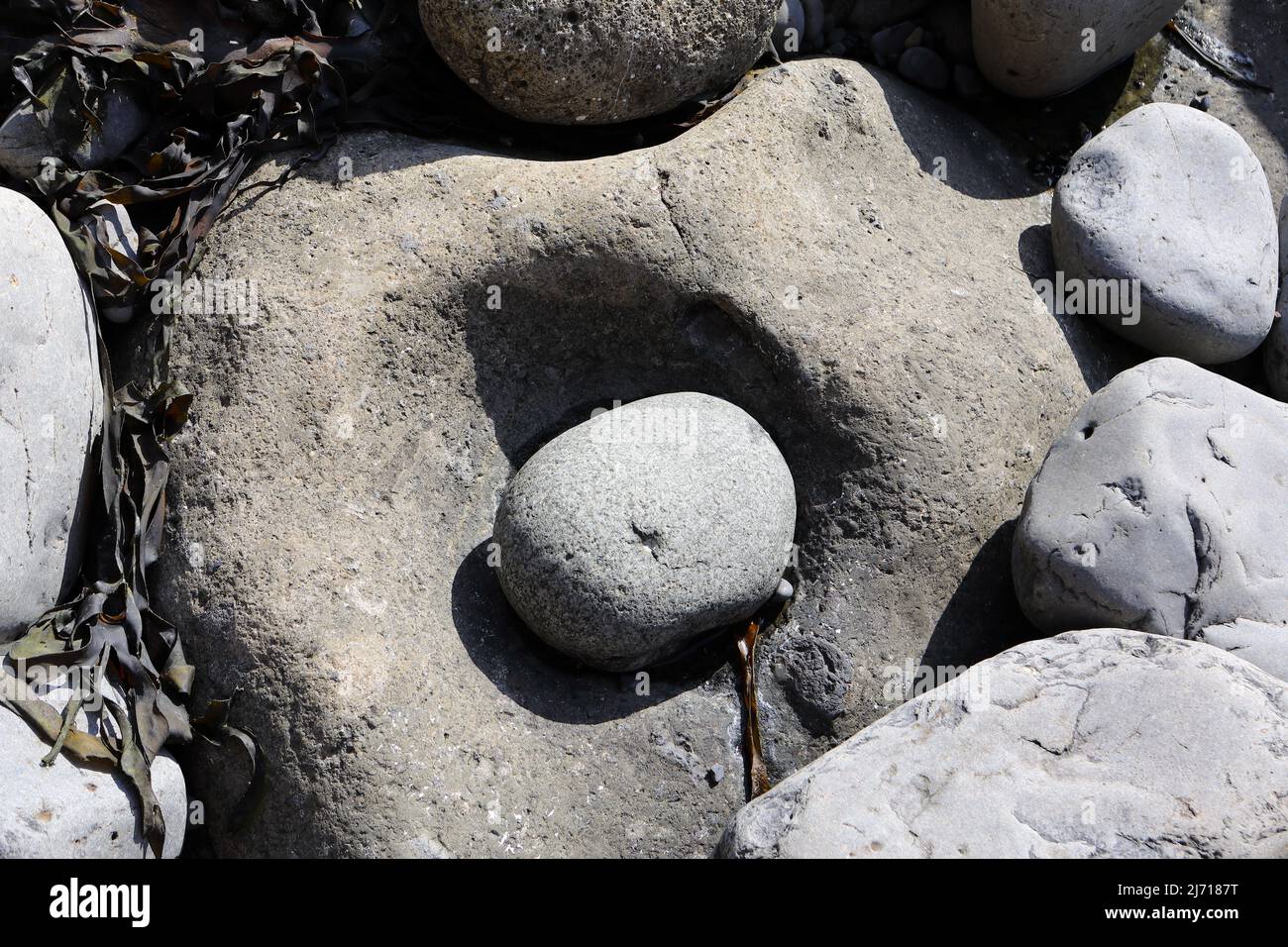 Un esempio di intemperie - erosione di roccia creata da una roccia più piccola macinando via la roccia sotto quando la marea si erde e scorre. Foto Stock
