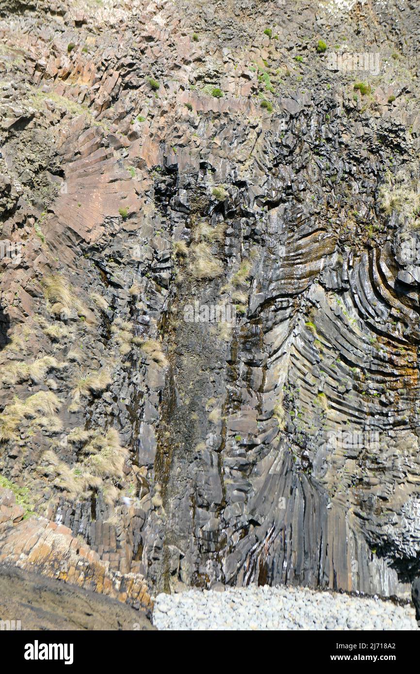 Macculloch's Fossil Tree, una meraviglia geologica di 50 milioni di anni sull'isola di Mull, Inner Hebrides, Scozia Foto Stock