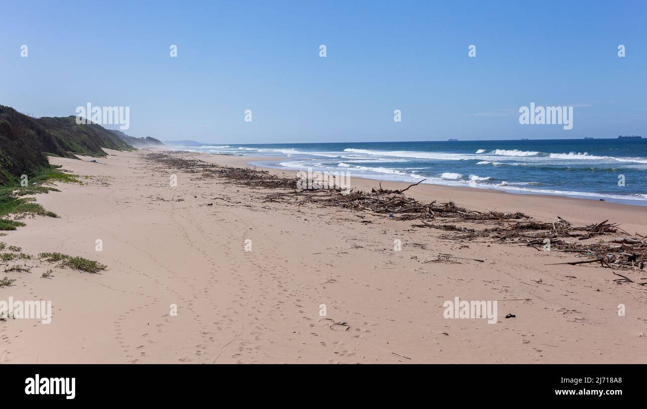 Alberi secchi rami rifiuti spazzatura dalla pioggia costiera fiume inondazioni impilato sulla spiaggia sabbia Waterline su un cielo blu oceano orizzonte paesaggio. Foto Stock