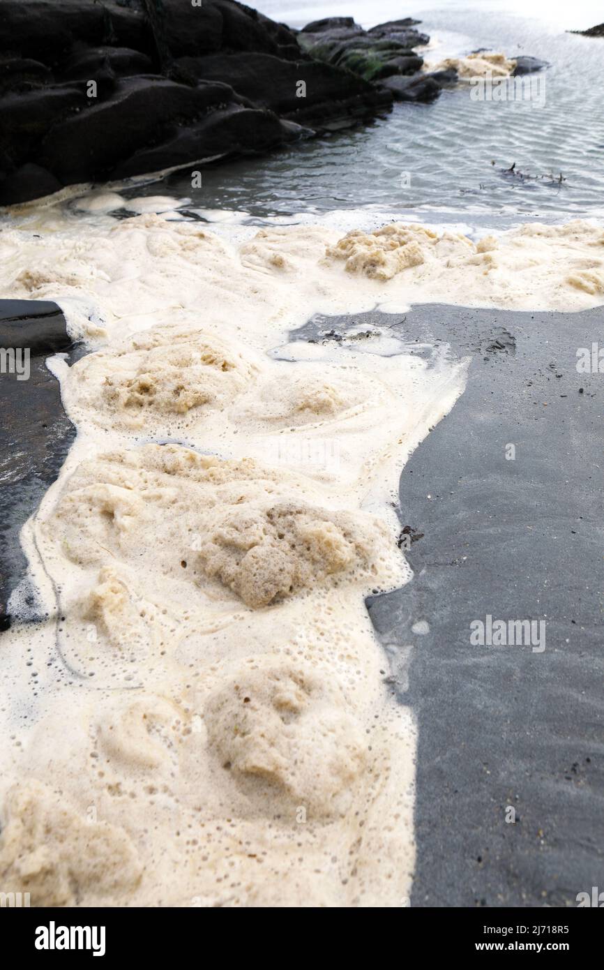 La schiuma da surf è nota anche come surfing scum su una spiaggia scozzese Foto Stock