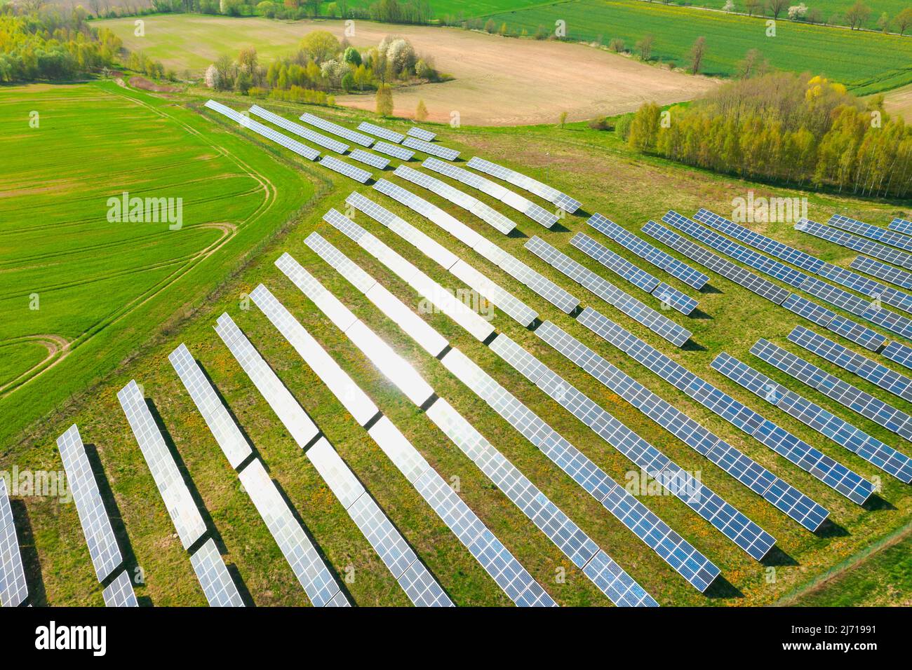 Pannelli solari su una collina sovrastati di verde, illuminati dalla luce del sole. Vista dal drone. Foto Stock