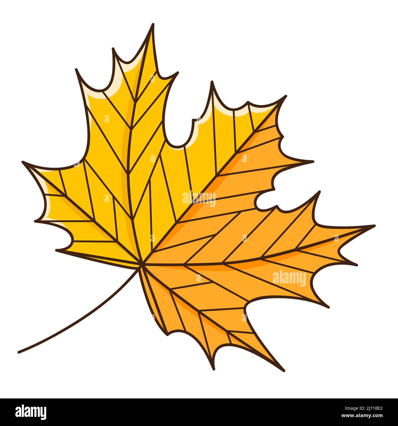 Foglia d'autunno di acero giallo arancio. Botanica, elemento di disegno vegetale con contorno. Ora di autunno. Doodle, disegnato a mano. Design piatto. Illustrazione vettoriale a colori Illustrazione Vettoriale