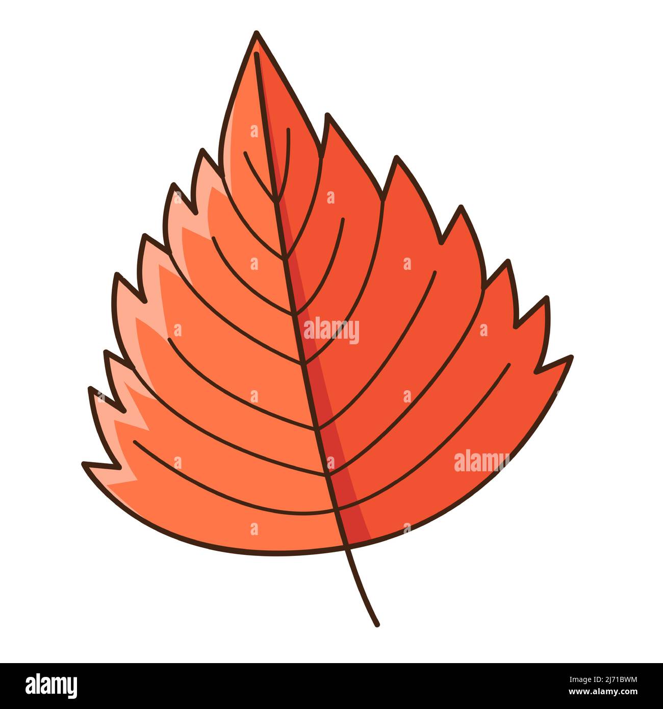 Foglia d'autunno rossa. Botanica, elemento di disegno vegetale con contorno. Doodle, disegnato a mano. Design piatto. Illustrazione vettoriale a colori. Isolato su un backgro bianco Illustrazione Vettoriale