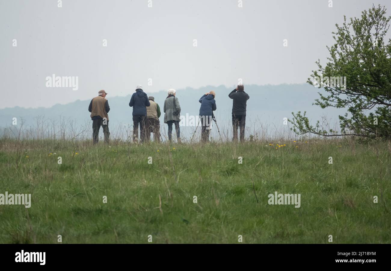 Un gruppo di birdwatchers (twitchers) si riuniscono in cerca di una coppia di gru che si avvistano sulla Salisbury Plain, Wiltshire Foto Stock