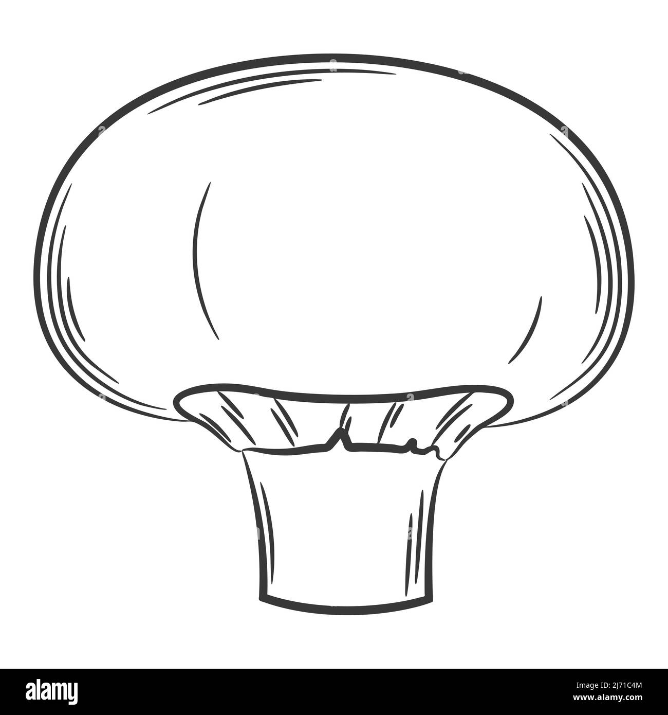 Champignon, fungo. Una verdura in stile lineare, disegnata a mano. Ingrediente alimentare, design element.Lineart. Illustrazione vettoriale in bianco e nero. ISOL Illustrazione Vettoriale