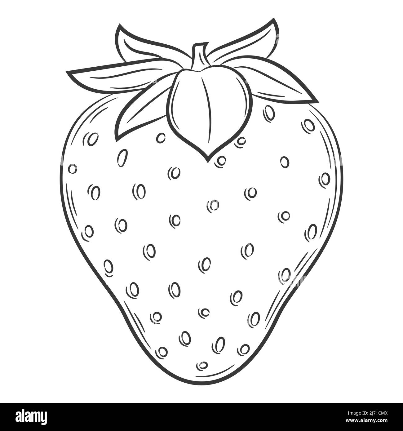Frutta alla fragola in stile lineare. Elemento decorativo vettoriale bianco e nero, disegnato a mano. Isolato su sfondo bianco Illustrazione Vettoriale
