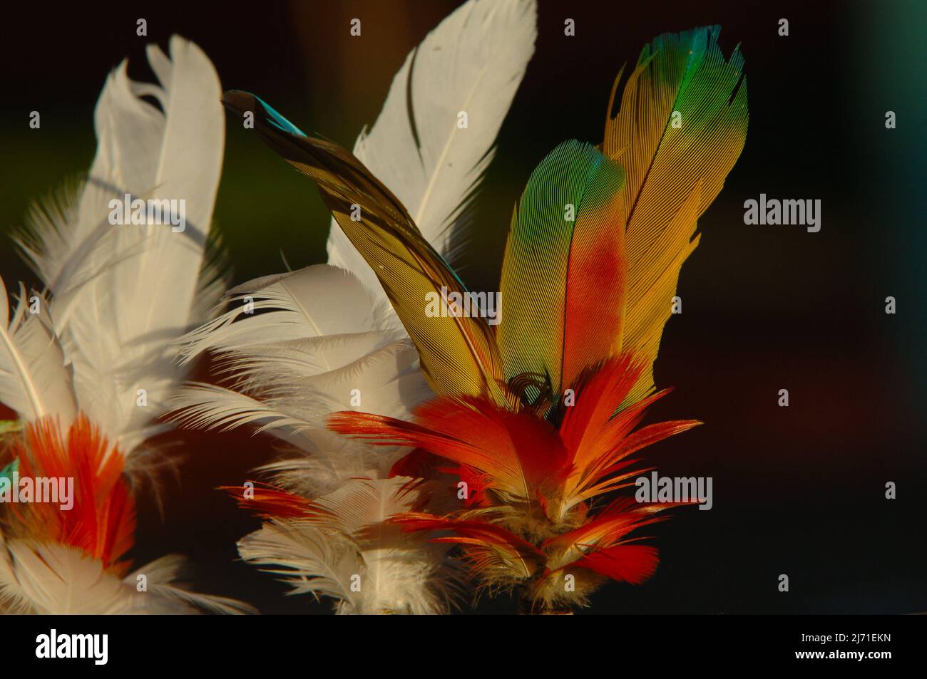 Headdress indiano fatto di piume multicolore dell'uccello dai membri di una tribù brasiliana nell'Amazzonia. Foto Stock