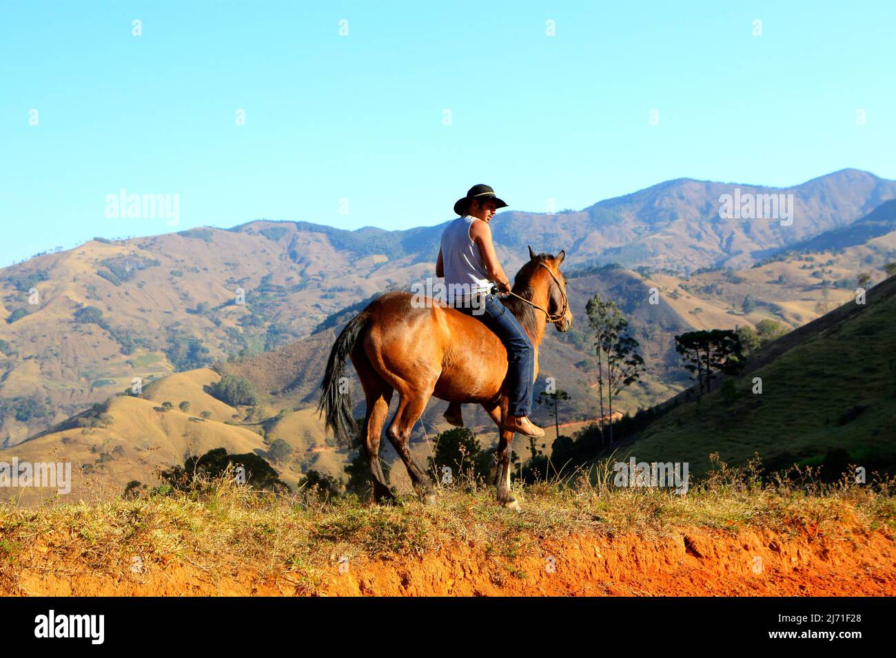 Uomo di fattoria a cavallo su terra indigena nel brasiliano Amazzonia Foto Stock