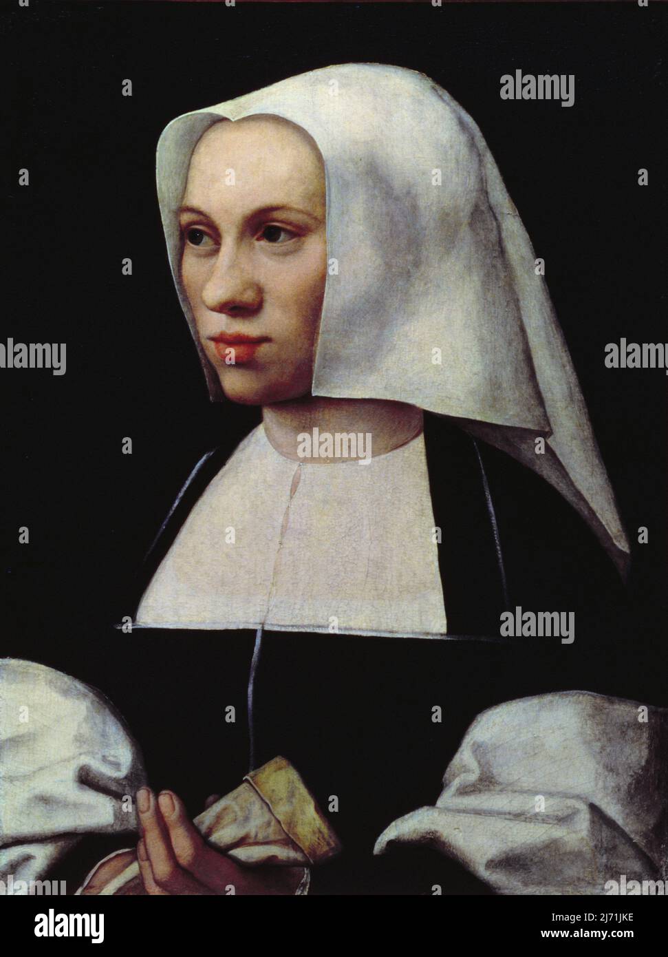 Ritratto del Conte Sertorio di Passarotti, Bartolomeo (1529-92); Galleria e Museo Estense, Modena, Italia; Italiano, fuori copyright. Foto Stock