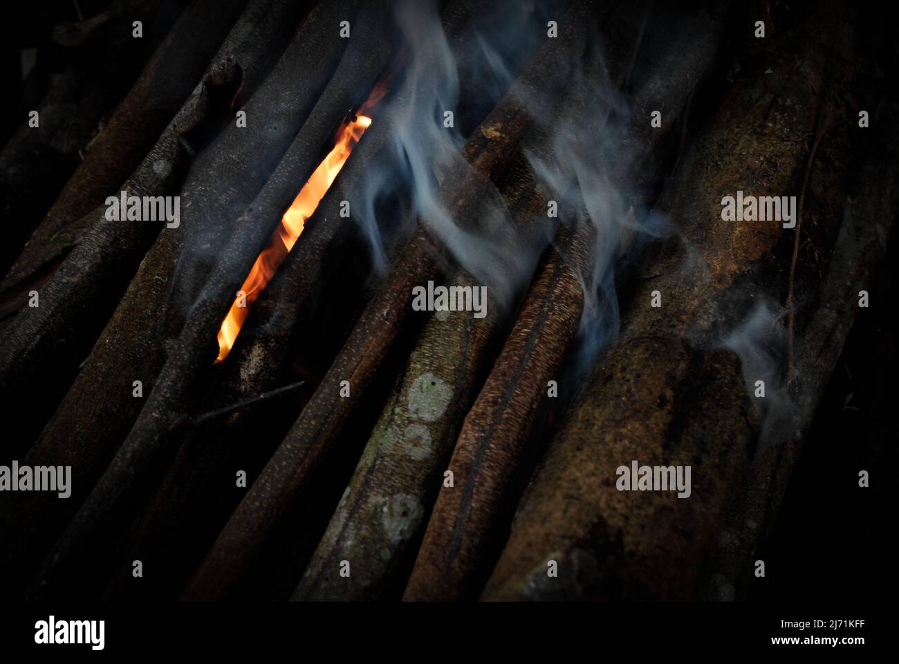Fiamme di legno che brucia nelle tenebre Foto Stock