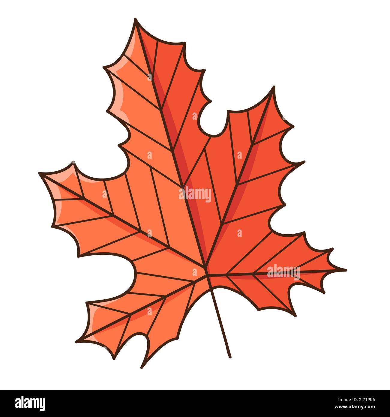 Foglia d'acero rosso autunno. Botanica, elemento di disegno vegetale con contorno. Ora di autunno. Doodle, disegnato a mano. Design piatto. Illustrazione vettoriale a colori. Isolato Illustrazione Vettoriale