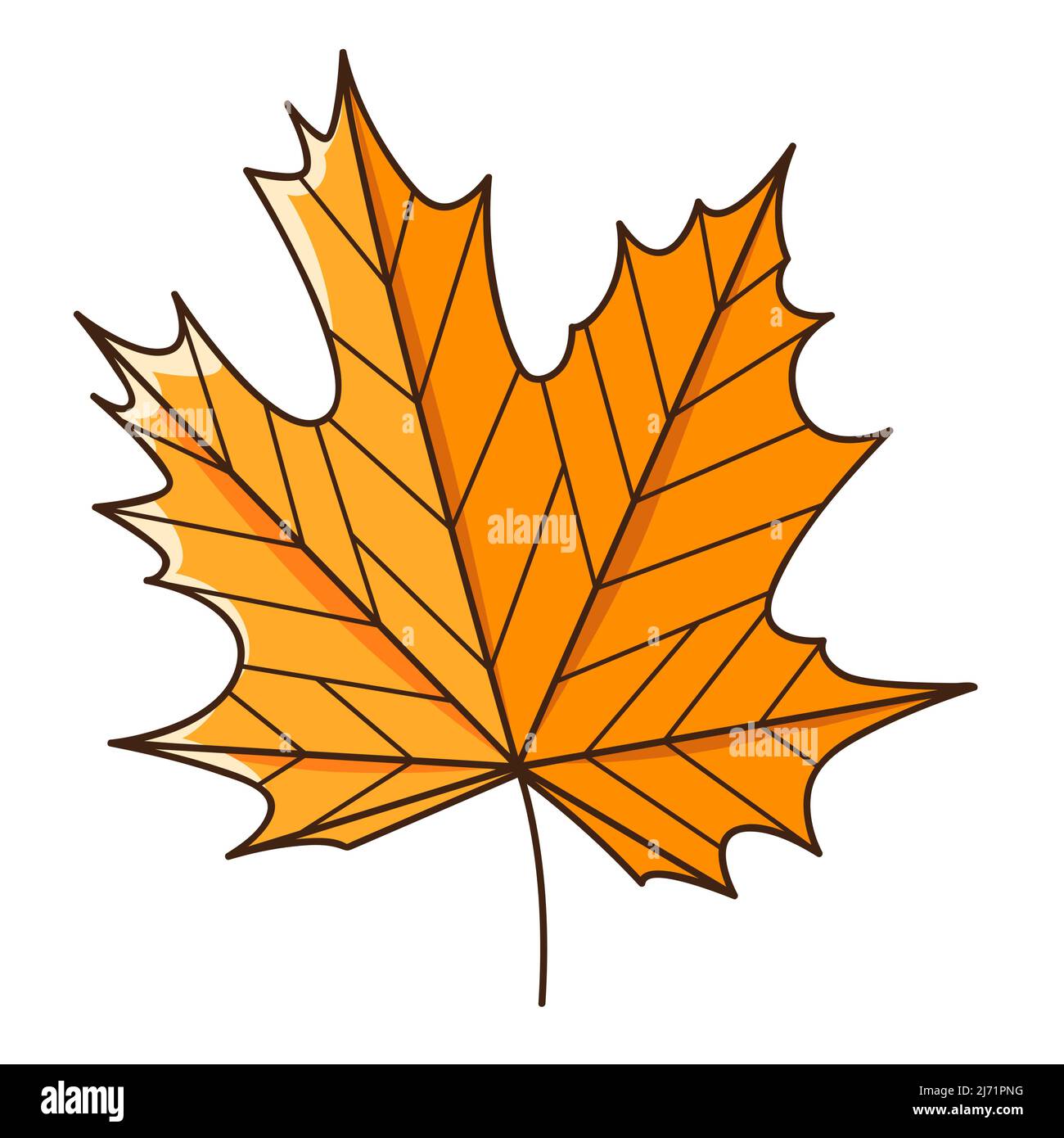 Foglia d'autunno di acero giallo arancio. Botanica, elemento di disegno vegetale con contorno. Ora di autunno. Doodle, disegnato a mano. Design piatto. Illustrazione vettoriale a colori Illustrazione Vettoriale
