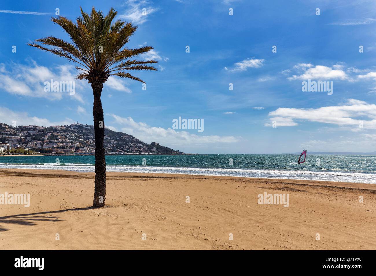 Palme am Strand, Blick auf einen Surfer und das Meer, Bucht von Roses, Costa Brava, Katalonien, Spanien Foto Stock