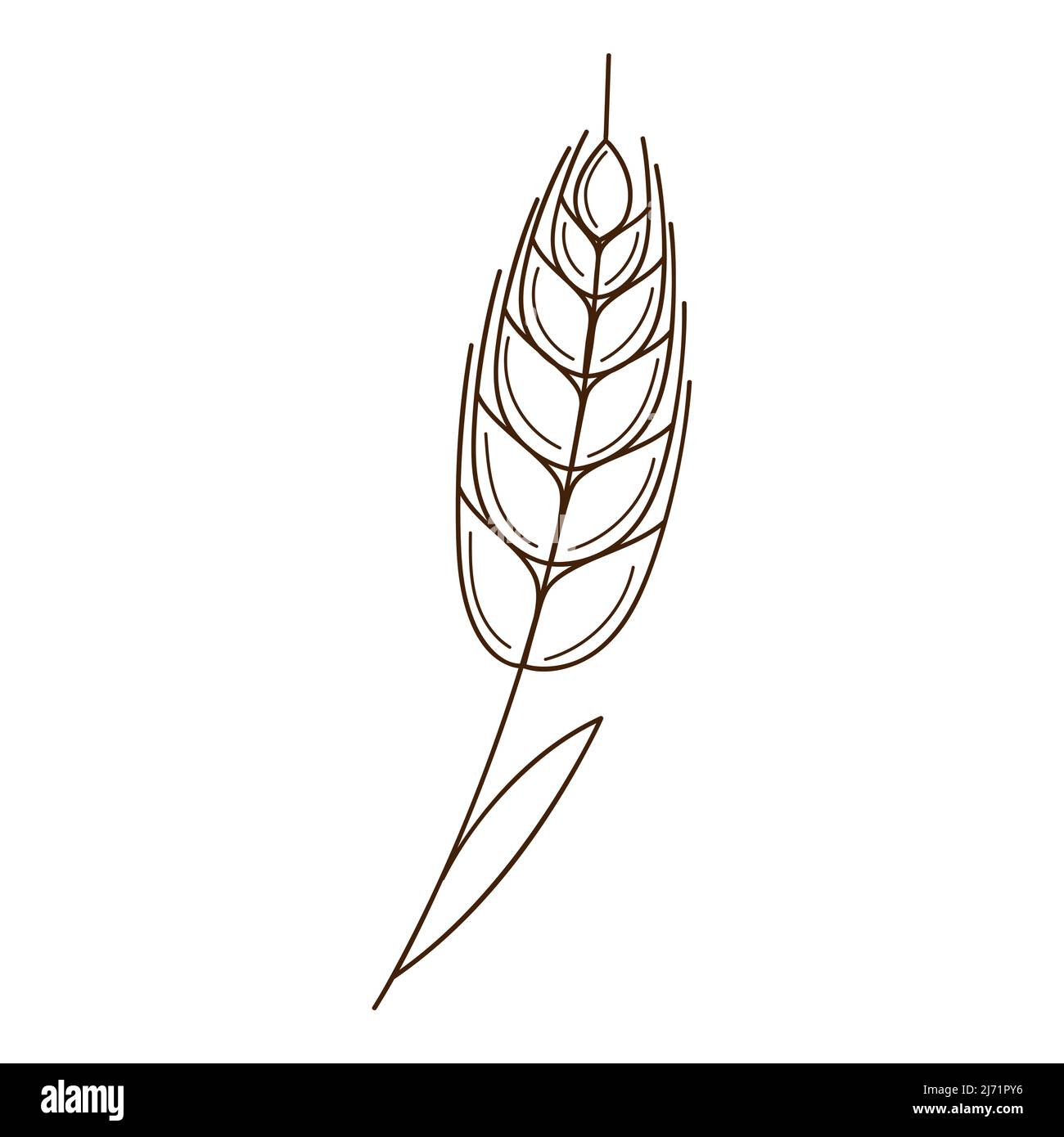 grano, guglie di segale. Un simbolo di autunno, raccolto. Elemento di progettazione con contorno. Doodle, disegnato a mano. Design piatto. Illustrazione vettoriale bianco e nero. Isola Illustrazione Vettoriale