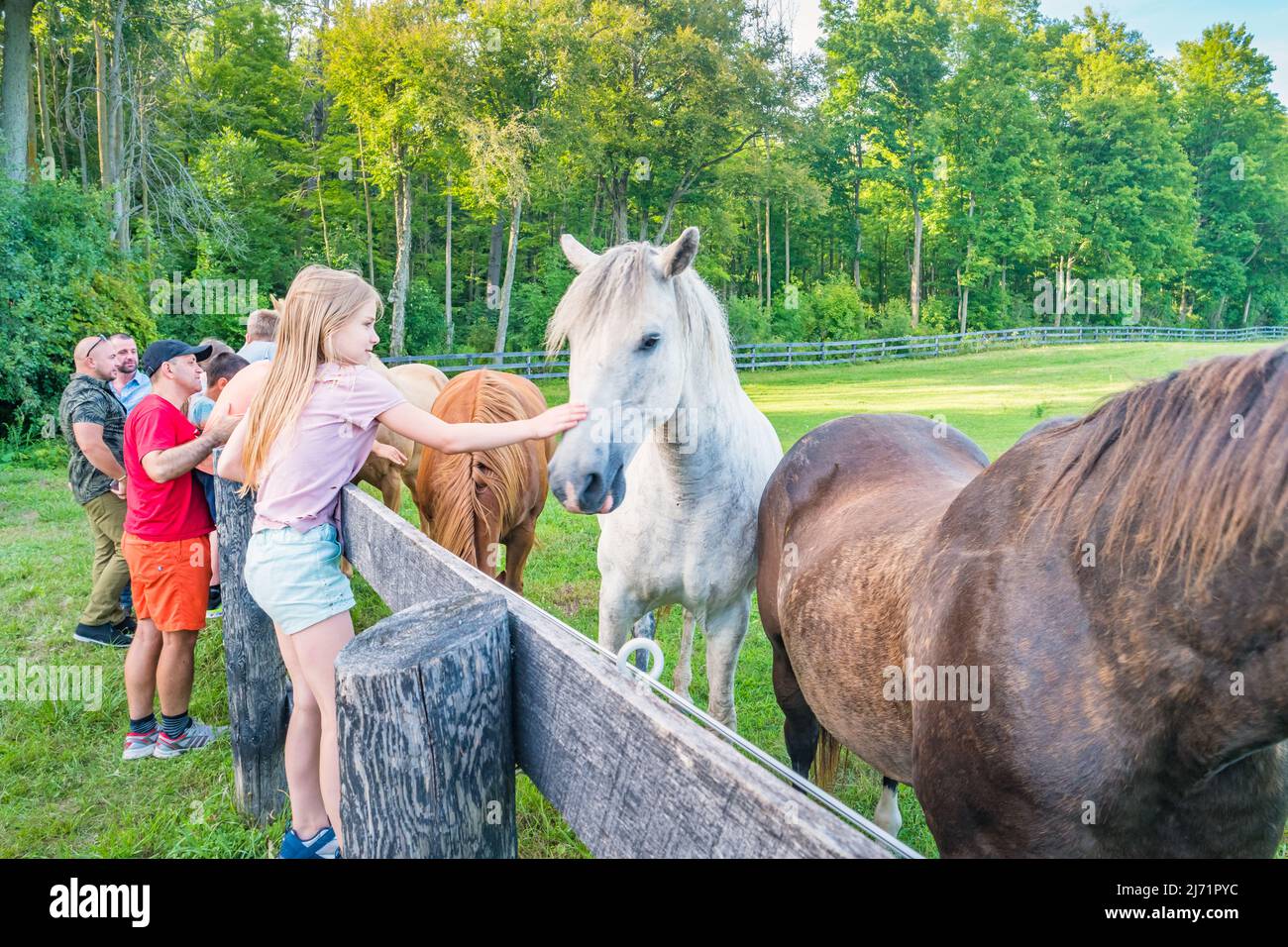 I bambini si accarezzano i cavalli in un ranch. Foto Stock