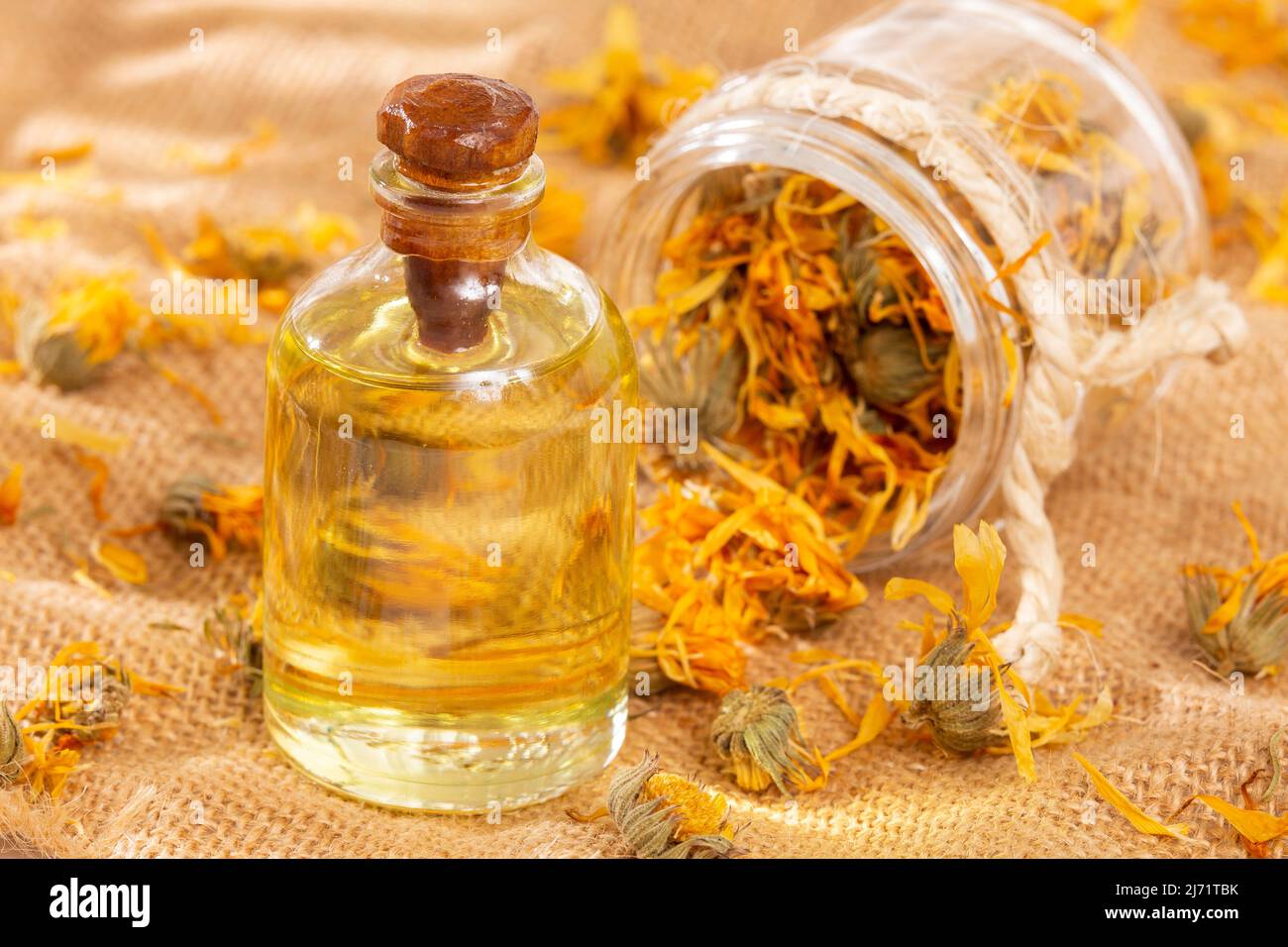 Calendula officinalis - olio Calendula in bottiglia di vetro Foto Stock